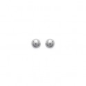 Boucles d'oreilles argent 925/000