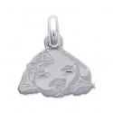 Pendentif argent 925/000