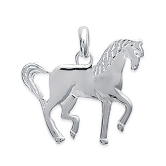 Pendentif argent 925/000 rhodiée