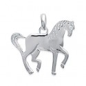 Pendentif argent 925/000 rhodiée