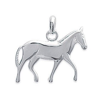 Pendentif argent 925/000