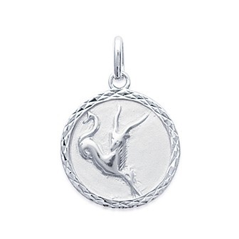 Pendentif argent 925/000 rhodiée médaille capricorne