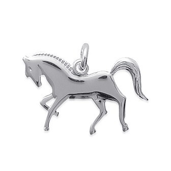 Pendentif argent 925/000