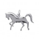 Pendentif argent 925/000