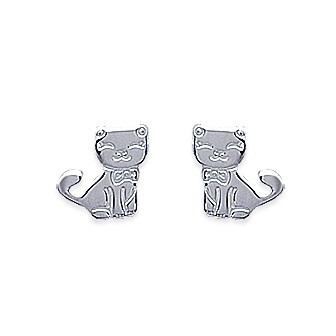 Boucle d'oreilles argent 925/000