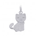 Pendentif argent 925/000