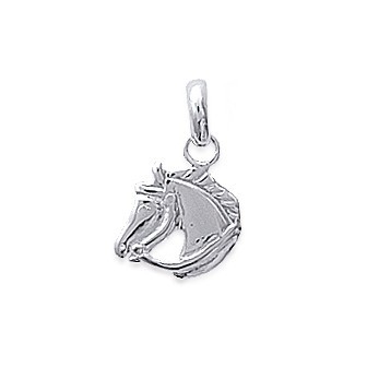 Pendentif argent 925/000 rhodiée