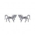 Boucles d'oreilles argent 925/000 rhodiée
