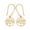 Boucles d'oreilles plaqué or 750/000 3 microns