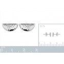Boucle d'oreilles argent 925/000