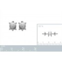 Boucles d'oreilles argent 925/000