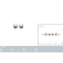 Boucles d'oreilles argent 925/000