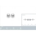 Boucles d'oreilles argent 925/000