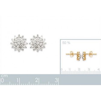 Boucles d'oreilles plaqué or 750 3 microns bicolore oz