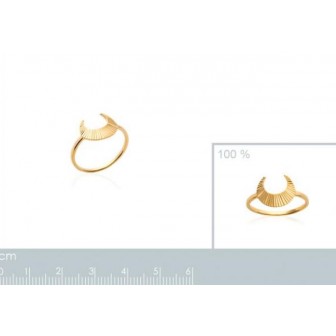 Bague plaqué-or 750/000 3 microns - CCGEJAA