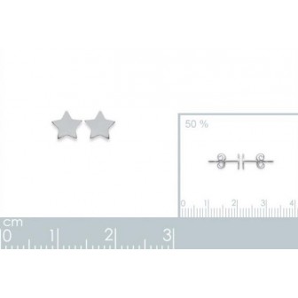 Boucles d'oreilles argent 925/000