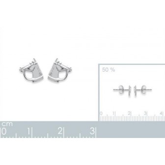 Boucle d'oreilles argent 925/000