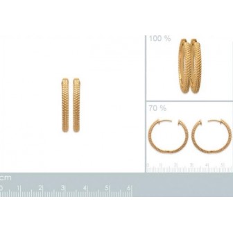 Créoles plaqué-or 750/000 3 microns 2622900