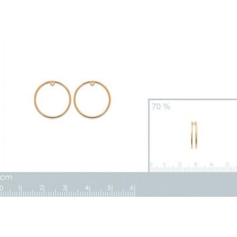 Boucles d'oreilles plaqué-or 750/000 3 microns 2566800