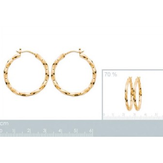 Créoles plaqué-or 750/000 3 microns 2626700