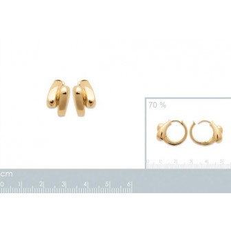 Créoles plaqué-or 750/000 3 microns 2628400