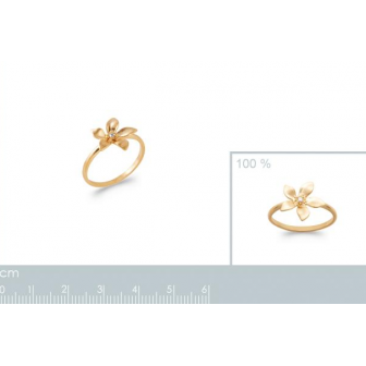 Bague plaqué-or 750/000 5 microns oz 2286610