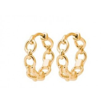 Créoles plaqué-or 750/000 3 microns 2633700