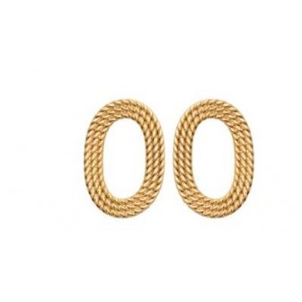 Boucles d'oreilles plaqué-or 750/000 3 microns 2PLK400