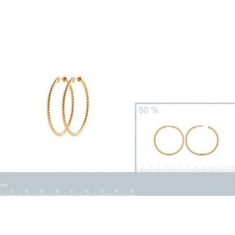 Créoles plaqué-or 750/000 3 microns 2634940