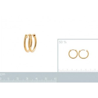 Créoles plaqué-or 750/000 3 microns 2634720