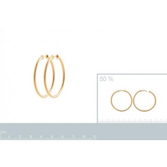 Créoles plaqué-or 750/000 3 microns 2634740