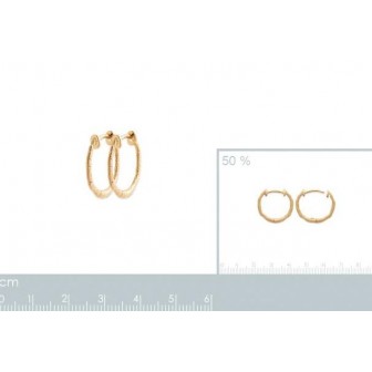 Boucles d'oreilles plaqué-or 750/000 3 microns 2635020