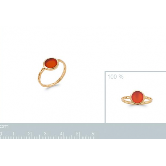 Bague plaqué-or 750/000 5 microns et Agate rouge 2920020