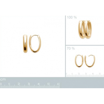 Créoles plaqué-or 750/000 3 microns 2638900