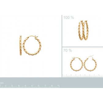 Créoles plaqué-or 750/000 3 microns 2637800