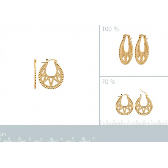 Créoles plaqué-or 750/000 3 microns 2644700