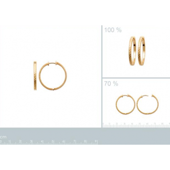 Créoles plaqué-or 750/000 3 microns 2644500