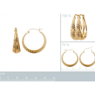 Créoles plaqué-or 750/000 3 microns 2638700