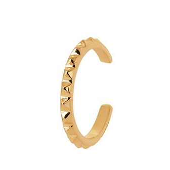 Bague d'oreilles plaqué-or 750/000 3 microns 2591200