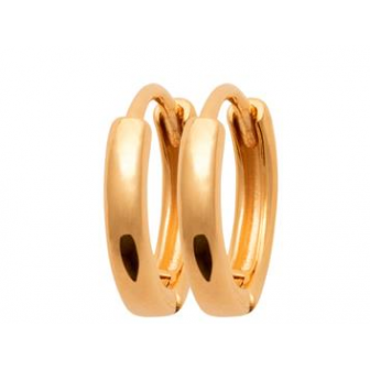 Créoles plaqué-or 750/000 3 microns 2637412