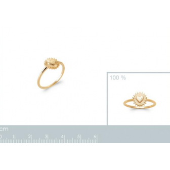 Bague plaqué-or 3 microns 750/000 2931800