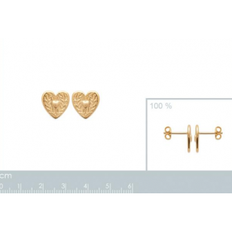 Boucles d'oreilles plaqué-or 3 microns 750/000 23006800